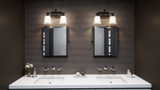 Balmoral South Two Light Vanity Light by Bailey Street Home - 71-BEL-619417