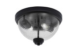 2 Light 12 Inch Wide Flush Mount by Toltec - FM_822_2