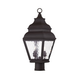 Sunningdale Pastures 2 Light Outdoor Post Top Lantern 8 x 20.5 Inch by BSH - 218-BEL-1029716