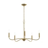 Ilia 5 Light Chandelier 18.25 Inch Tall and 28 Inch Wide by Progress - P400462