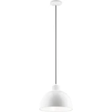 Zailey 1 Light Medium Pendant 15.75 Inch Wide by Kichler - 52153