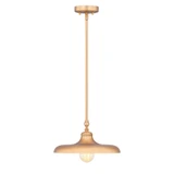 Camden 1 Light Pendant 6.75 Inch Tall and 14 Inch Wide by Z Lite - 2308P14