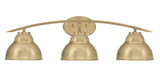 Kurve 3 Light Vanity Light 8.5 Inch Tall by Toltec - 3723-GP-4059