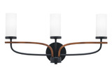 Monterey 3 Light Vanity Light by Toltec - 2913