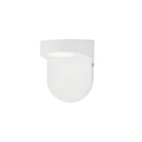 Ledge 15W 1 LED Wall Sconce by Maxim - 86198