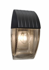 Costaluz Aqua 1 Light Outdoor Wall Lantern 10.25 Inch Tall by Besa - AQUACP