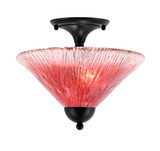 Any 2 Light 12 Inch Wide Semi Flush Mount by Toltec - 120-121125