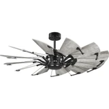 Springer 52 Inch 12 Blade Ceiling Fan by Progress - P250065