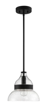 1 Light Small Pendant 10.75 Inch Tall by Craftmade - P960