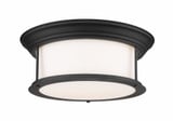 Sonna 3 Light 15.5 Inch Wide Flush Mount by Z-Lite - 2011F16