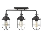 Seaport 3 Light 14 Inch Wide Semi Flush Mount by Golden - 9808-LSF