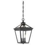 Ellijay 3 Light Small Outdoor Pendant by Savoy House - 5-146