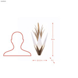 {"pim_id":"167_562w02hg_diagram_v1_1k","sku":"167_562W02HG","media_type":"media"}
