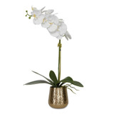 {"pim_id":"208_60189_new_2k","sku":"208_60189","media_type":"media"}