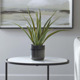 {"pim_id":"208_60204_beauty_new_2k","sku":"208_60204","media_type":"media"}