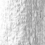 {"pim_id":"208_50092_a5_base_detail_new_2k","sku":"208_50092","media_type":"media"}