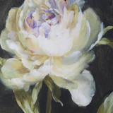 {"pim_id":"208_32426_a4_detail_new_2k","sku":"208_32426","media_type":"media"}