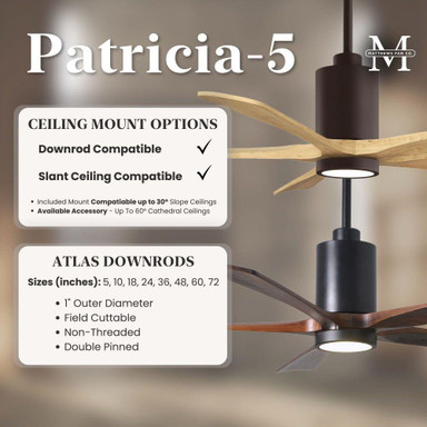 {"pim_id":"176_pa5_downrod_mounting_infographic_v1_1k","sku":"176_PA5-52","media_type":"media"}