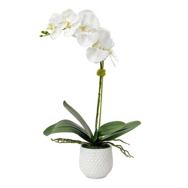 {"pim_id":"208_60178_new_2k","sku":"208_60178","media_type":"media"}