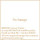 Gesso White
