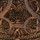 Aged Tortoise Shell