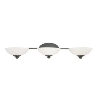Rainier 3 Light Vanity Light by Dolan - 3903-78