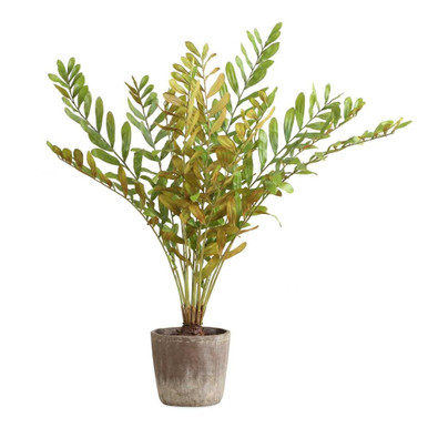 Zamia Planter 57.75 Inch Tall and 43 Inch Wide by uttermost - 60243