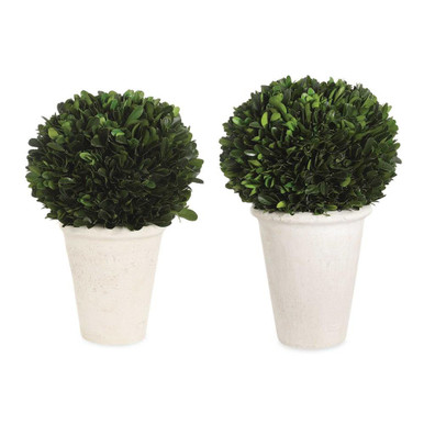 Preserved Boxwood 12 Inch Domes Planter (Set of 2) by Uttermost - 60224