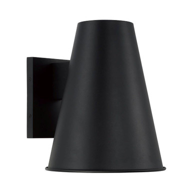 Yardley 1 Light Outdoor Wall Lantern 12 Inch Tall X 10 Inch Wide by Capital - 955112BK