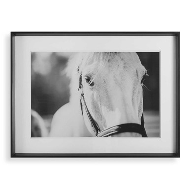 Eyes On The Prize 46.25 Inch Framed Print by Bailey Street Home - 208-BEL-5065568