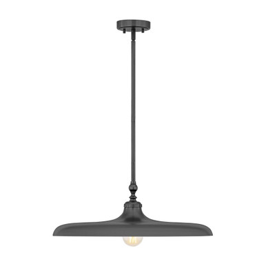 Camden 1 Light Pendant 8.25 Inch Tall and 24 Inch Wide by Z Lite - 2308P24