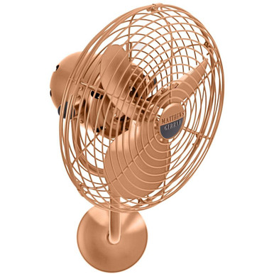 Taylor Grange Ceiling Fan 13 Inch Wide by BSH - 176-BEL-1218161