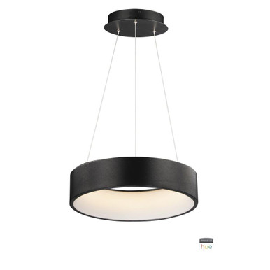 Iq 40W 1 LED Large Pendant by ET2 - E31254-BBK