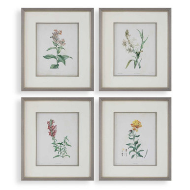 Heirloom Blooms 26.38 Inch Framed Print (Set of 4) by Uttermost - 32285