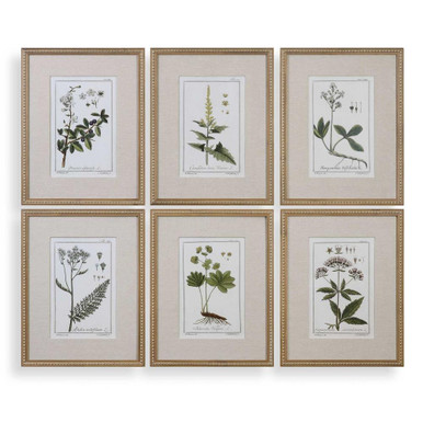 Latham Court 22.63 Inch Floral Print (Set of 6) by Bailey Street Home - 208-BEL-2248005