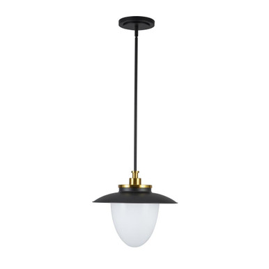 Dahlia 1 Light Pendant 13.25 Inch Tall and 15 Inch Wide by Artcraft - AC11905BB