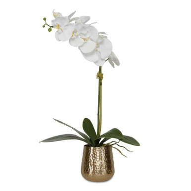 Hatch Close 24 Inch Pot by Bailey Street Home - 208-BEL-4571037