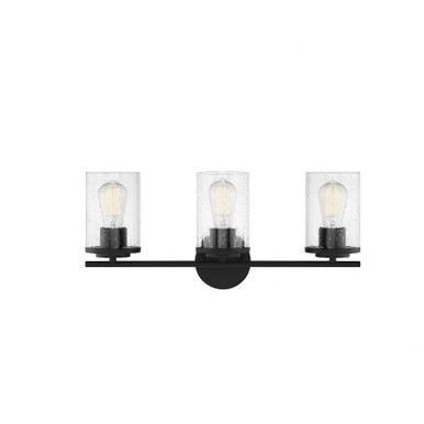 Bruce Mount 3 Light Vanity Light by Bailey Street Home - 159-BEL-929664