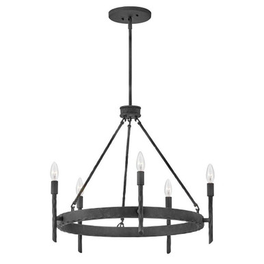 Tress 5 Light Medium Chandelier by Hinkley - 3675