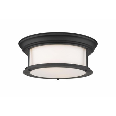 Woodcroft Gardens 2 Light Steel Flush Mount by Bailey Street Home - 372-BEL-1002070