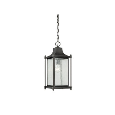 Dunnmore 1 Light Small Outdoor Pendant by Savoy House - 5-3455-BK