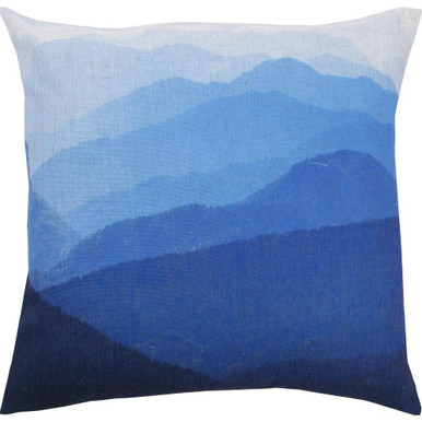 Haze 20 Inch Sqaure Pillow by Renwil - PWFL1005
