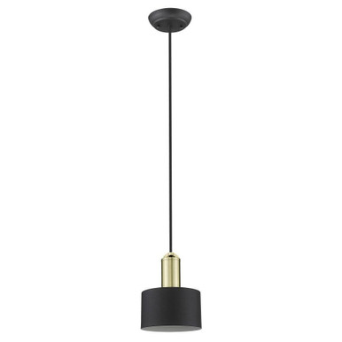 Ingo 1 Light Mini Pendant by Acclaim - TP30102BK