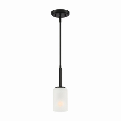 Carmine 1 Light Mini Pendant by Designers Fountain - D239M-4P