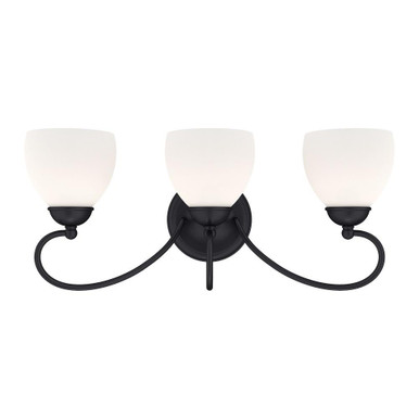 Harrow Limes 3 Light Vanity Light by Bailey Street Home - 218-BEL-1119807