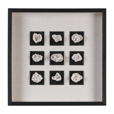 Crompton Woods 21.63 Inch Shadow Box by Bailey Street Home - 208-BEL-2247614