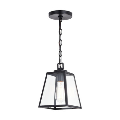 Grant 1 Light Small Pendant by Vaxcel - P0346