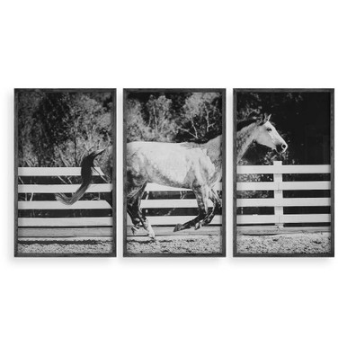 Galloping Forward 21 Inch Framed Print (Set of 3) by Uttermost - 32279