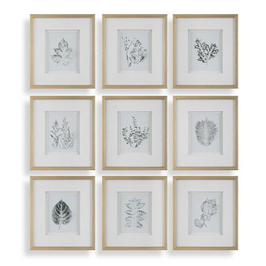 Nature's Framed Botanical Print (Set of 9) 17.25 Inch Tall by uttermost - 32449