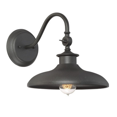 Raliegh 1 Light Outdoor Wall Lantern by Savoy House - 5-9584-BK